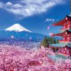 Jigsaw Puzzle: Fuji And Sengen Shrine With Dancing Cherry Blossoms 300P (38 X 26Cm) Wholesale