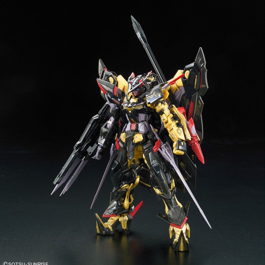 1/144 Rg Gundam Astray Gold Frame Amatsu Mina Best