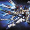 1/60 Perfect Grade Strike Freedom Gundam Best