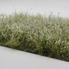 Meadow Flowers White (105X74X36Mm) New