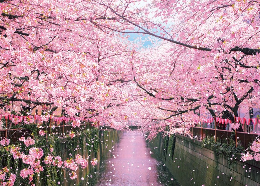 Jigsaw Puzzle: Meguro River Cherry Blossom Trees 600P (53 X 38Cm) Wholesale