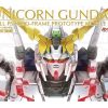 1/60 Pg Unicorn Gundam Online