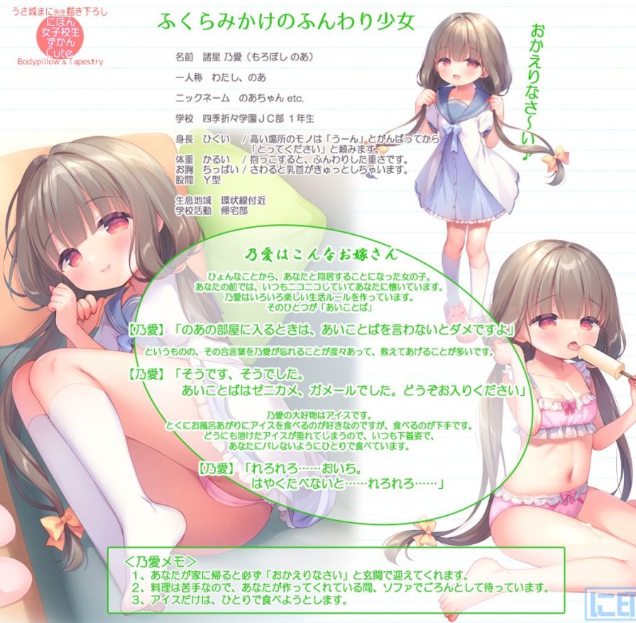 Japanese School Girls Pictorial Book Cute Drawn By Usashiromani Fukuramikake No Fluffy Girl [Noa Moroboshi] Dakimakura Cover Fetish Ver. Wholesale