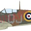 1/48 Spitfire Mk.Vb Early Weekend Edition Hot