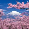 Jigsaw Puzzle: Harukage Fuji Shizuoka 300Pcs (26 X 38Cm) Online