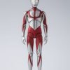 S.H.Figuarts Ultraman (Shin Ultraman) (Reissue) Clearance