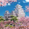 Jigsaw Puzzle: Sakura-Style Himeji Castle 300P (38 X 26Cm) Best